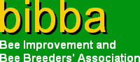 BIBBA acronym and name